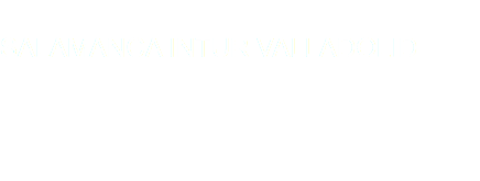  SALAMANCA INTUR VALLADOLID 